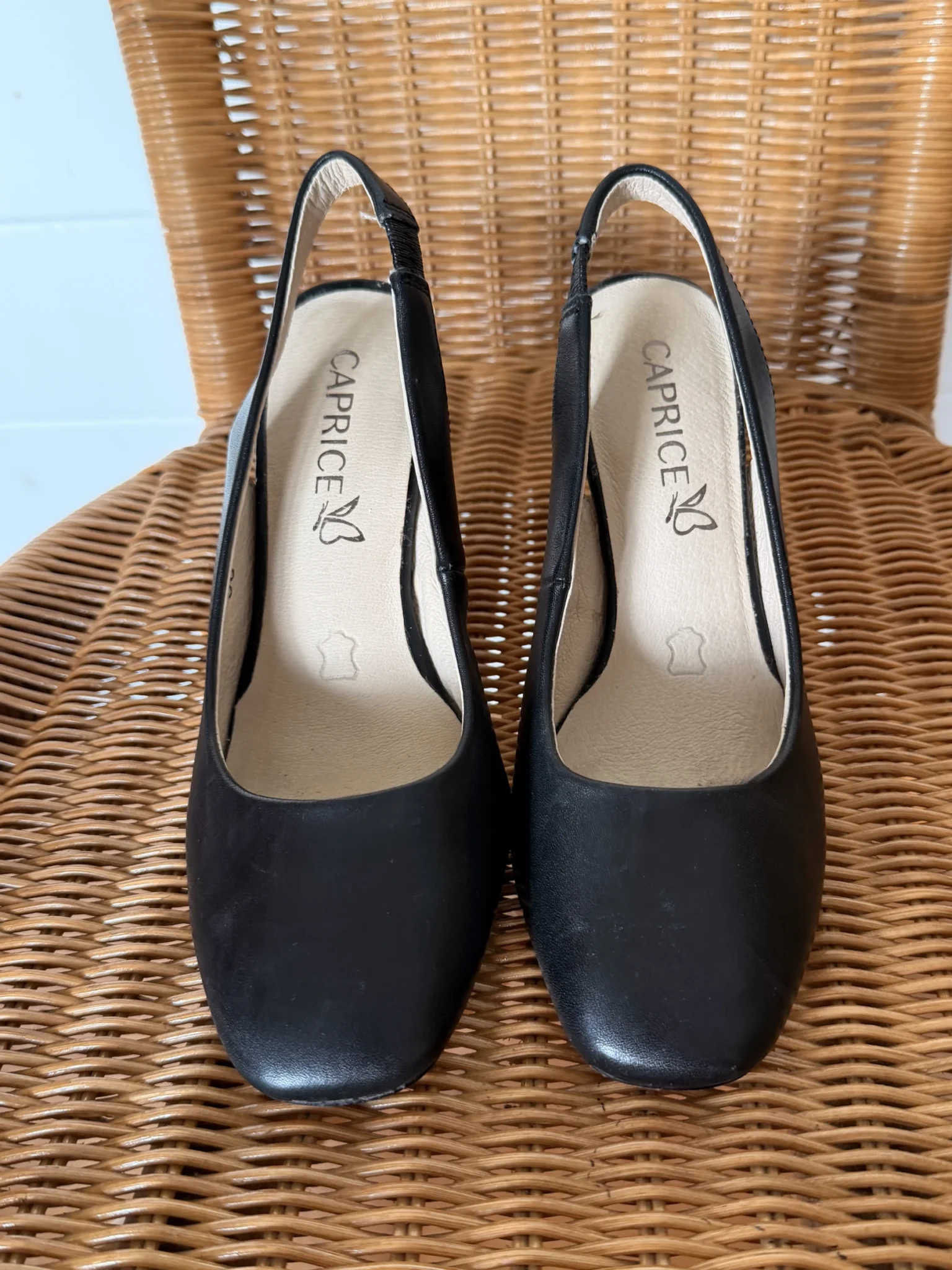 Image for Talons Caprice