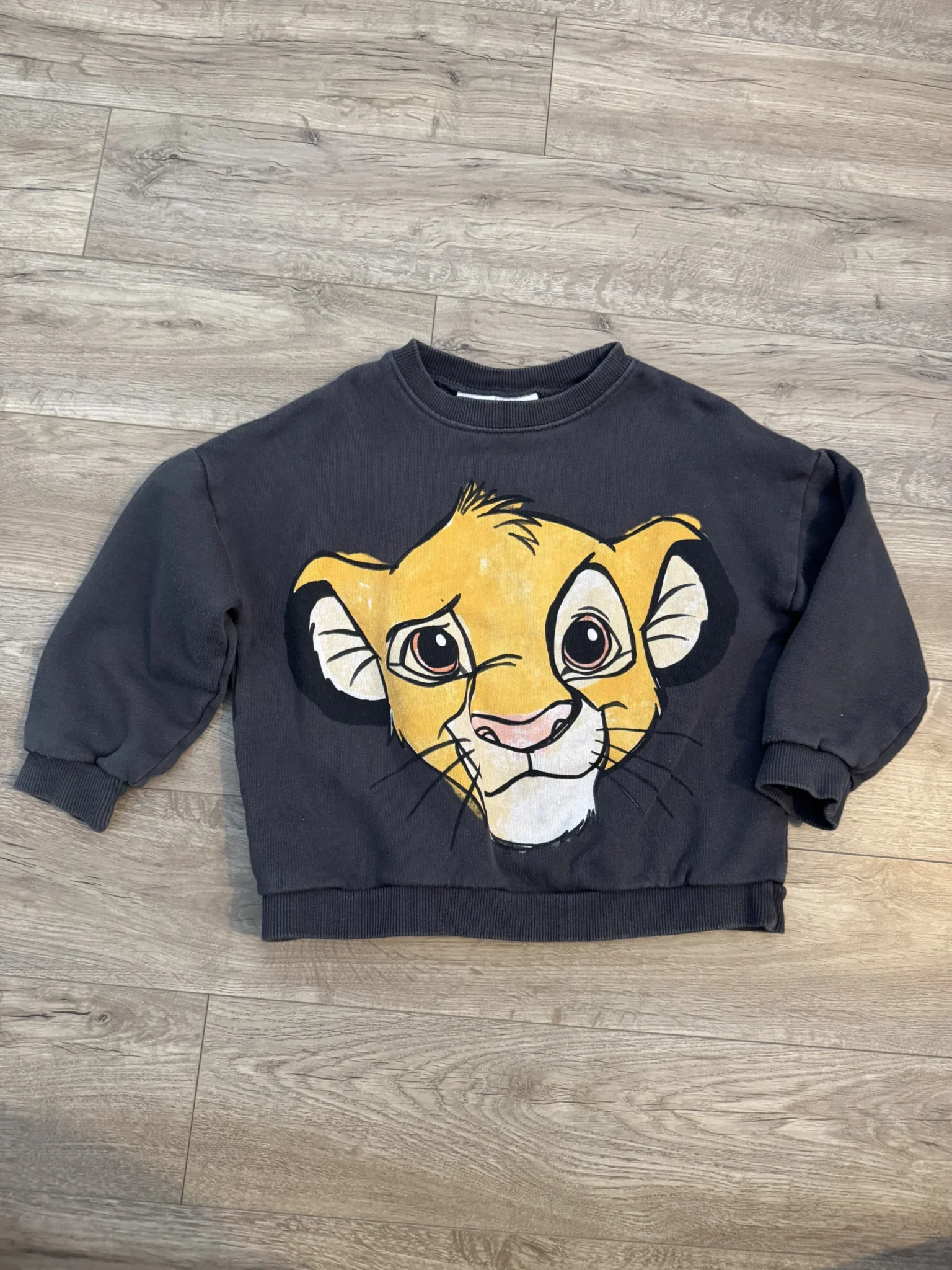 Featured image for Ages 4–5 – Zara The Lion King crew-neck top