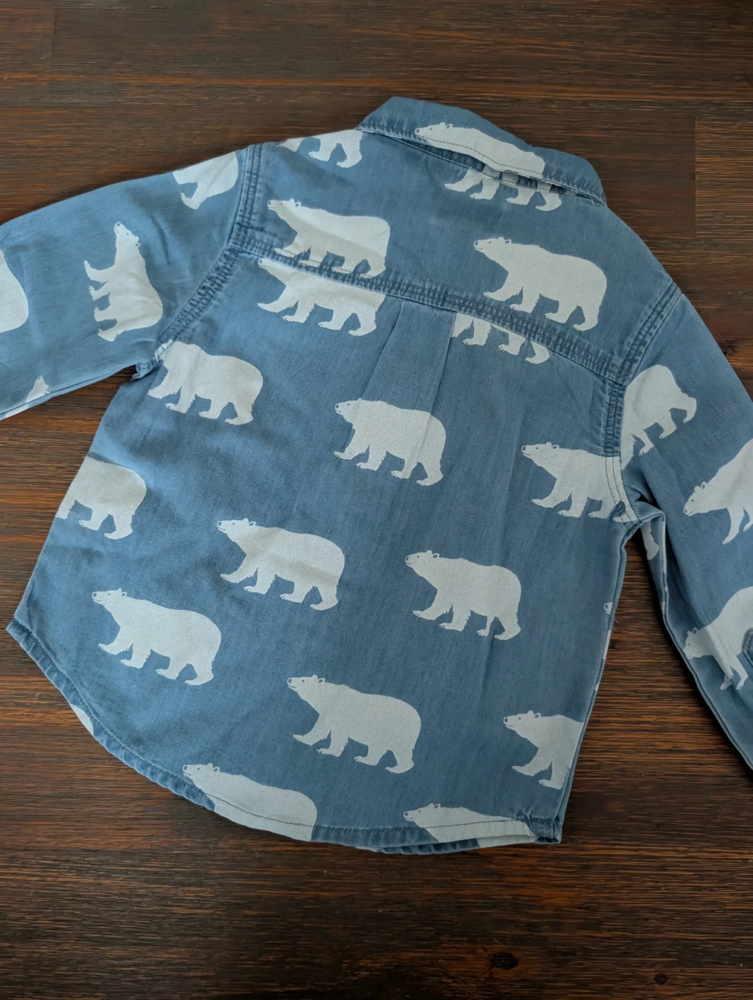 Image for Hatley Shirt, 9–12 months