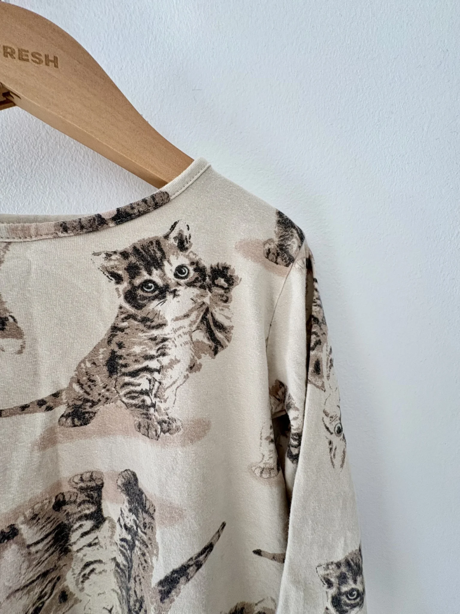 Featured image for 3/4T Petits chatons
