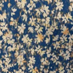 Thumbnail for Hush blue floral dress