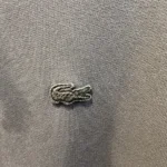Thumbnail for Hoodi en coton épais Lacoste