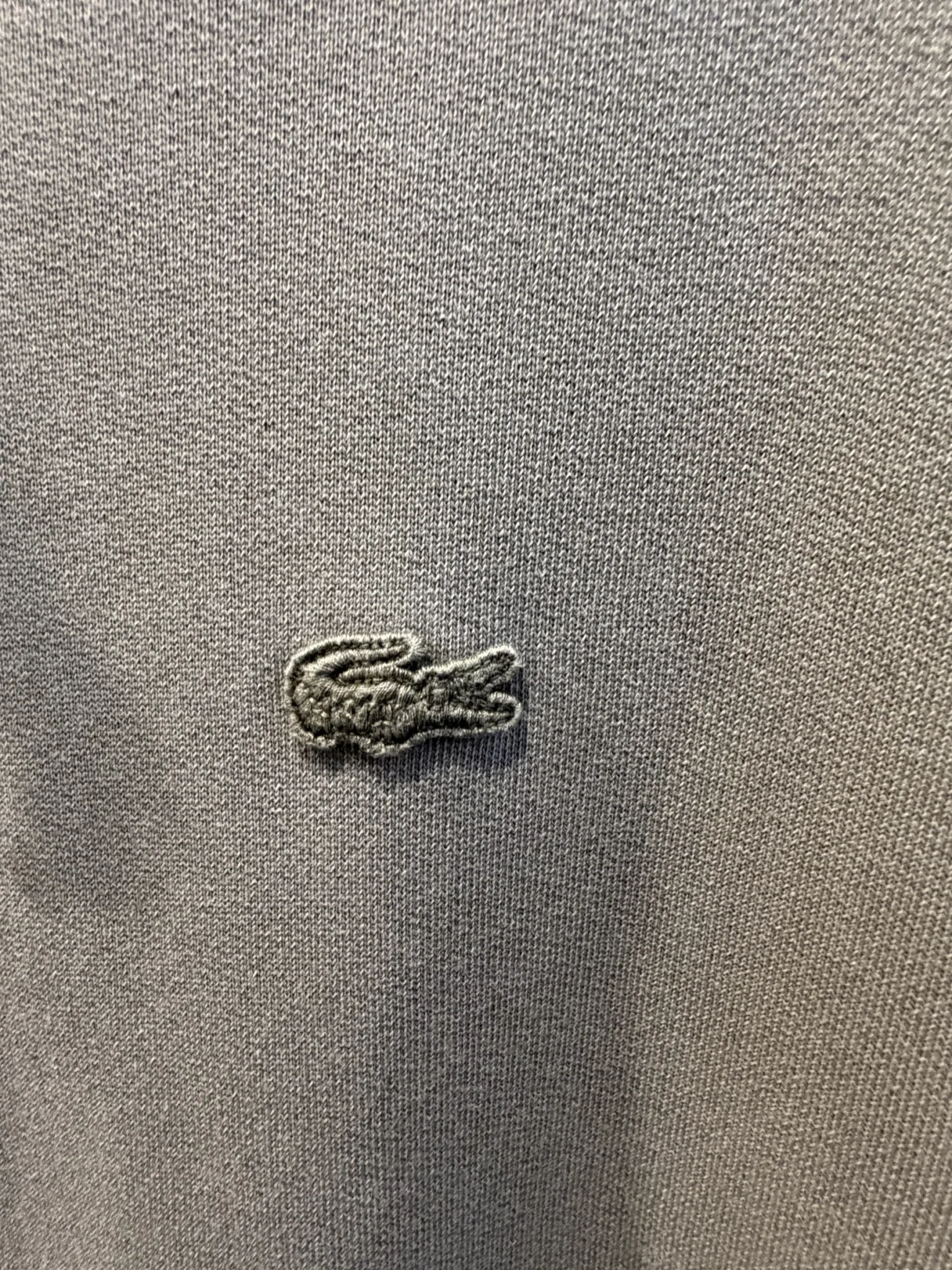 Image for Hoodi en coton épais Lacoste