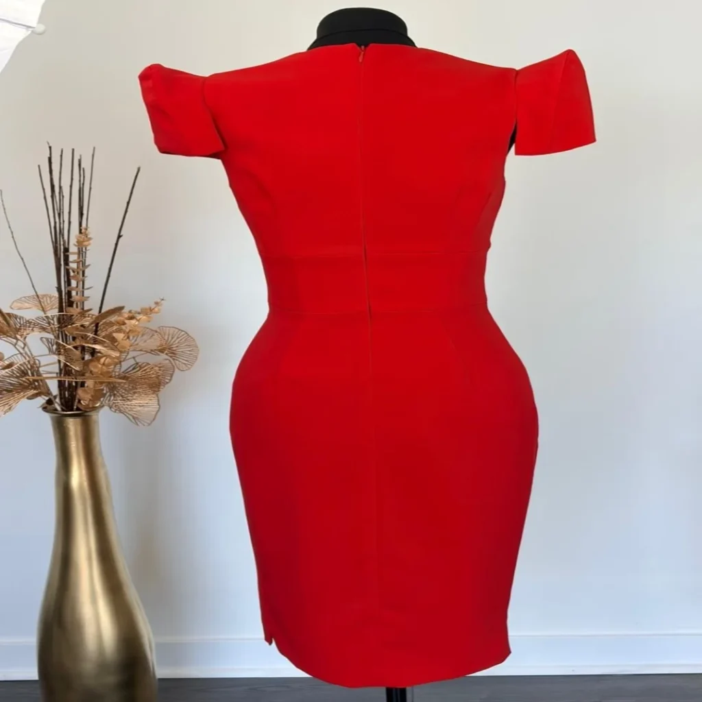 Image for Robe Audacieuse Écarlate au Décolleté Plongeant
