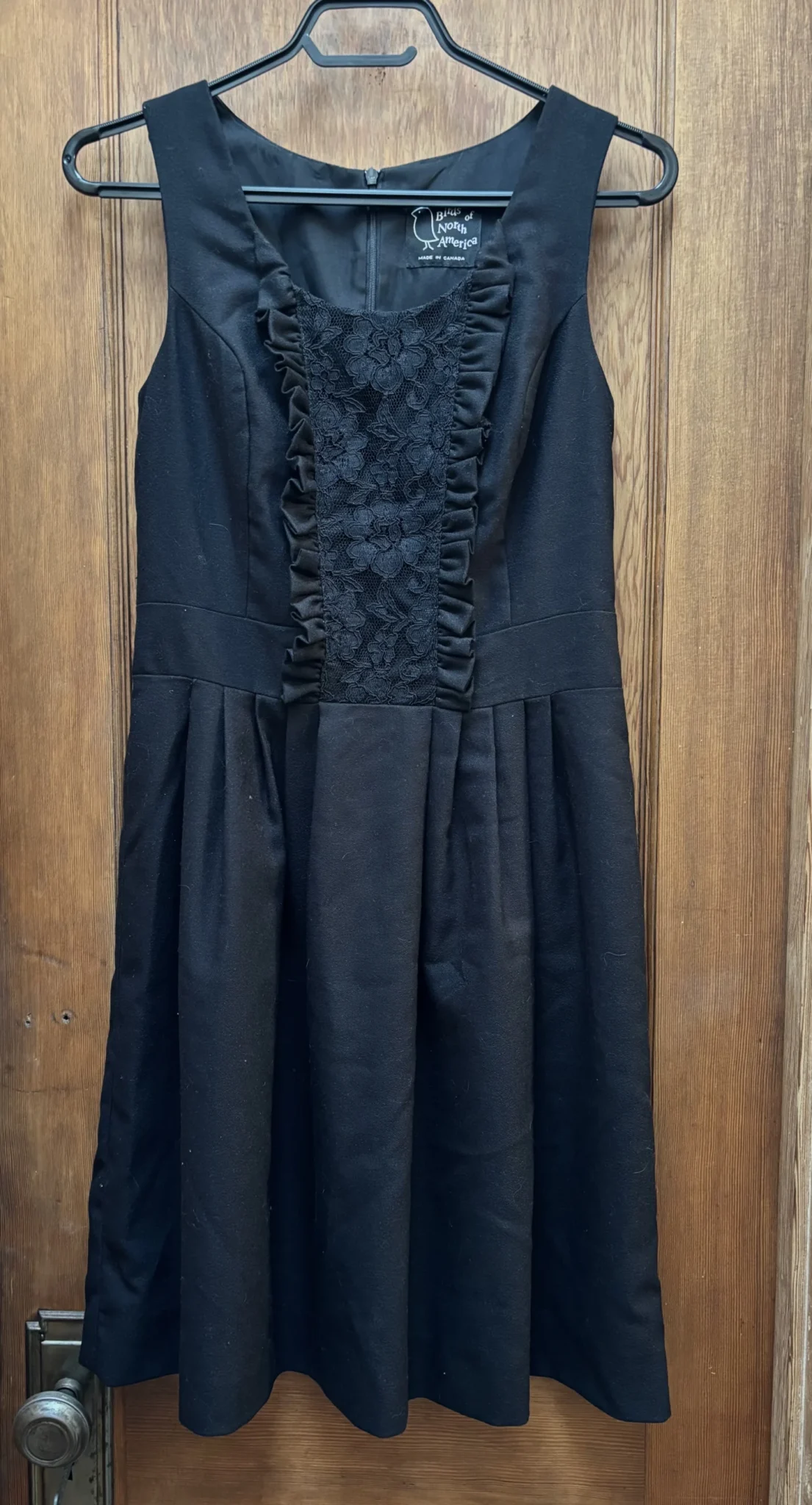 Featured image for Black dress - Birds of North America