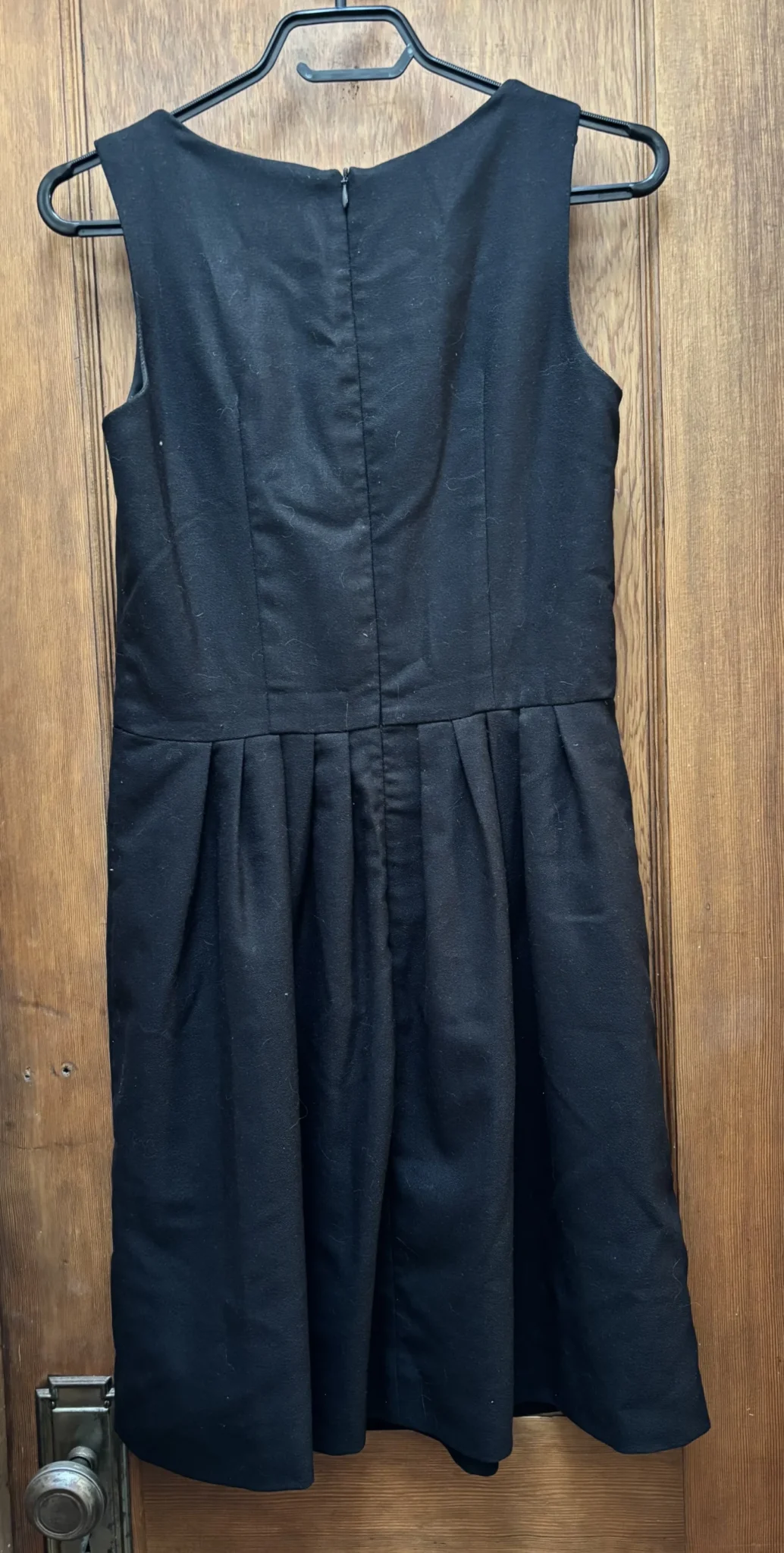 Image for Black dress - Birds of North America