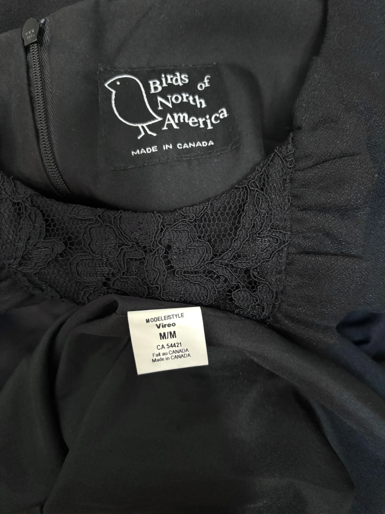 Image for Black dress - Birds of North America
