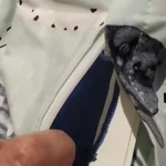 Thumbnail for Sac a dos Fjallraven MINI