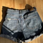 Thumbnail for American Eagle shorts