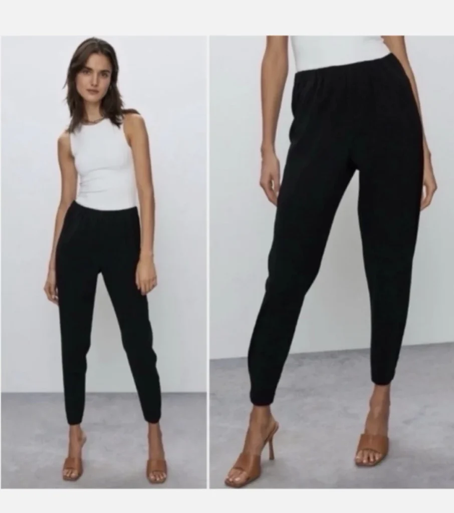 Image for 🌷Dexter Trousers - Aritzia