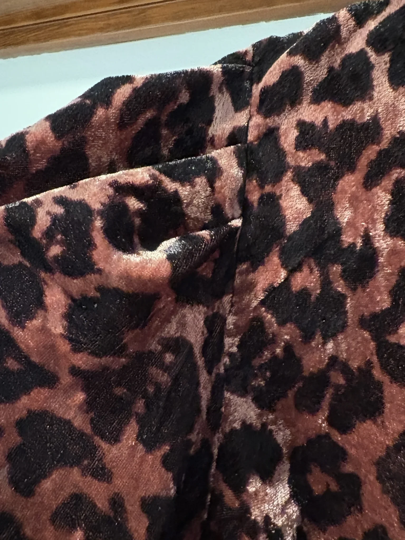 Image for Dolan Left Coast — Leopard-print velvet jumper — L