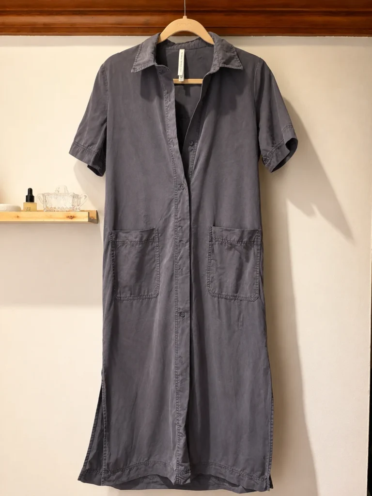 Featured image for Robe-chemise longue The Group by Babaton (Aritzia), taille XS
