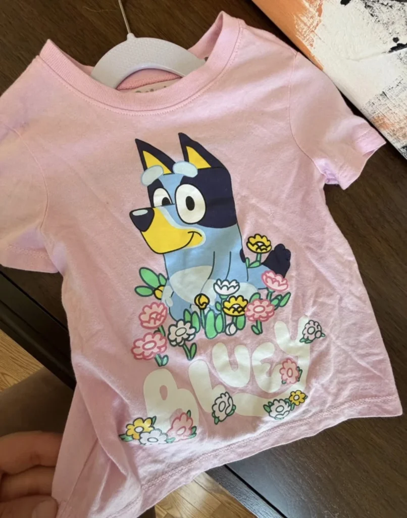 Image for T-Shirt Bluey 2T