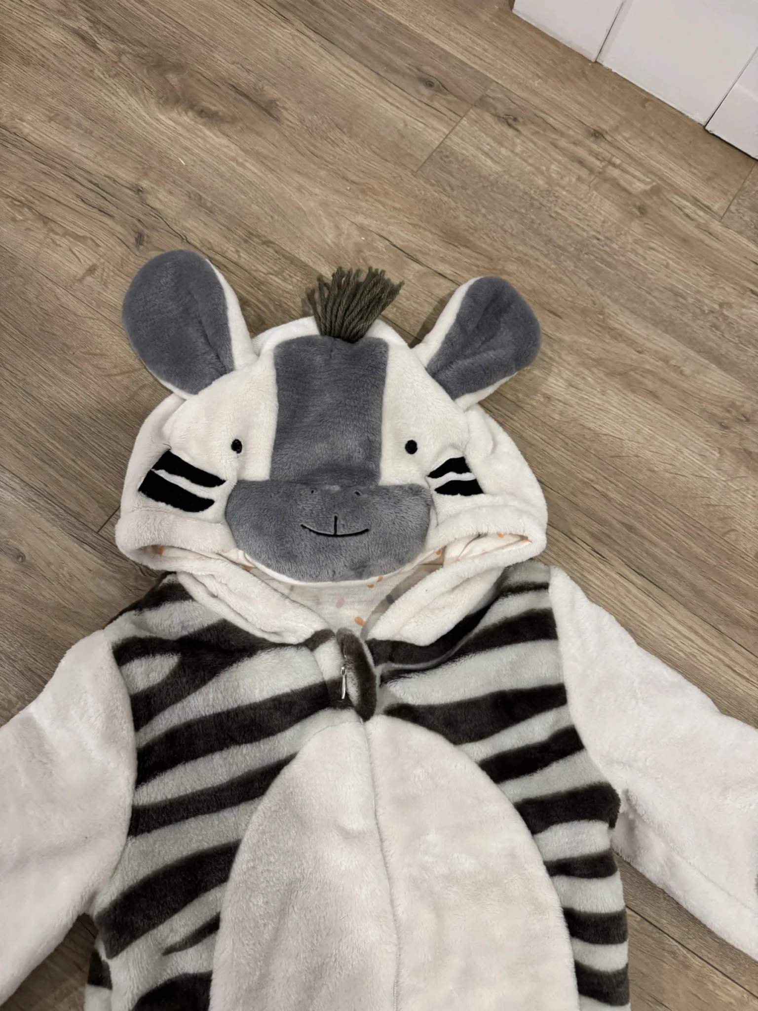 Image for 2 ans - Costume d’Halloween zèbre