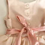 Thumbnail for 1½–2T Sparkling Dress