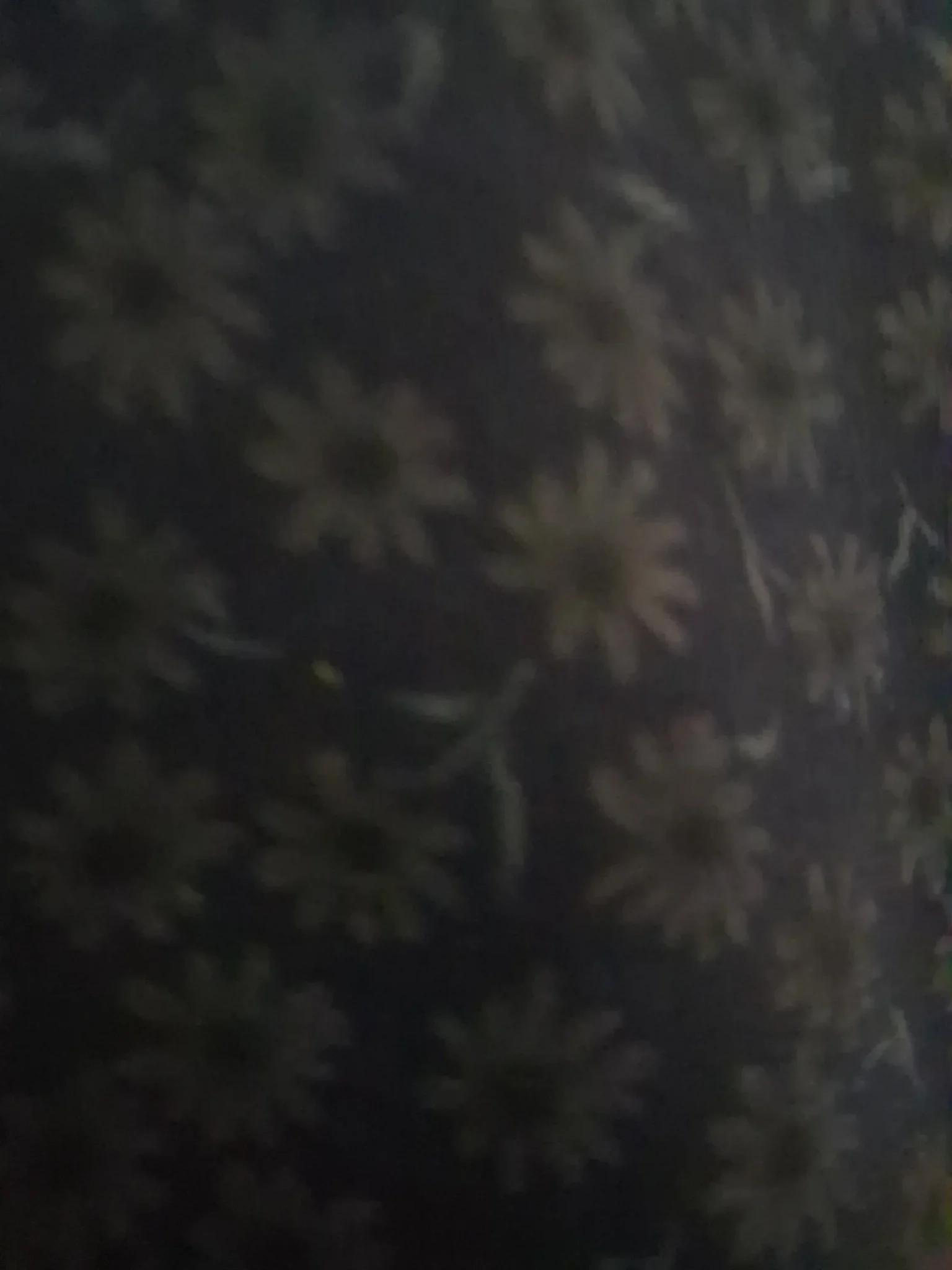 Image for Chandail fleuri