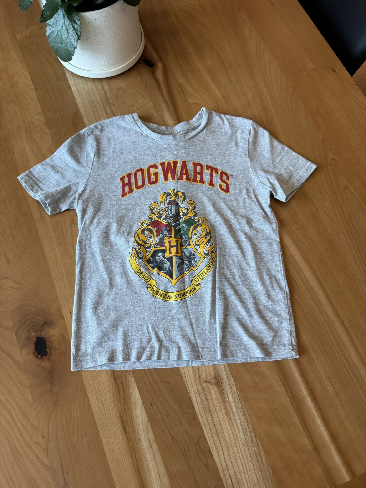 Featured image for Grey Harry Potter T-shirt