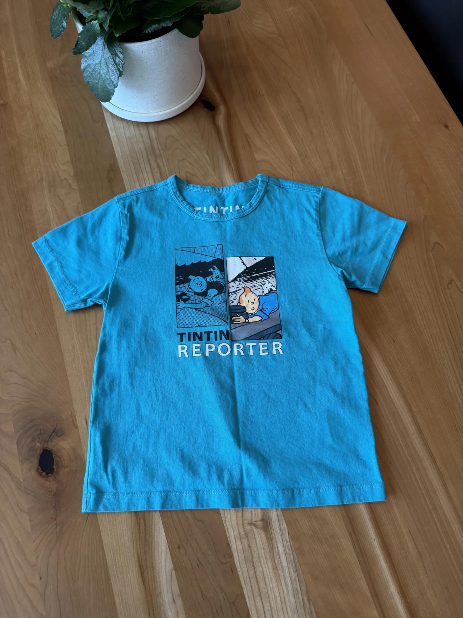 Featured image for Blue Tintin T-shirt
