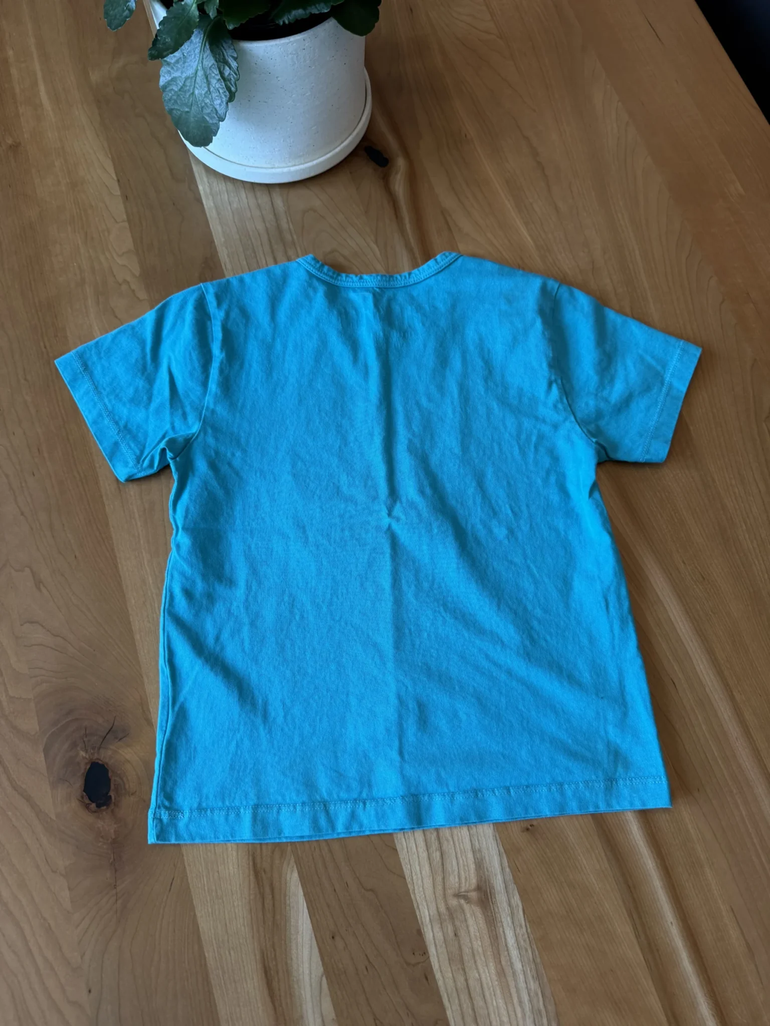 Image for Blue Tintin T-shirt