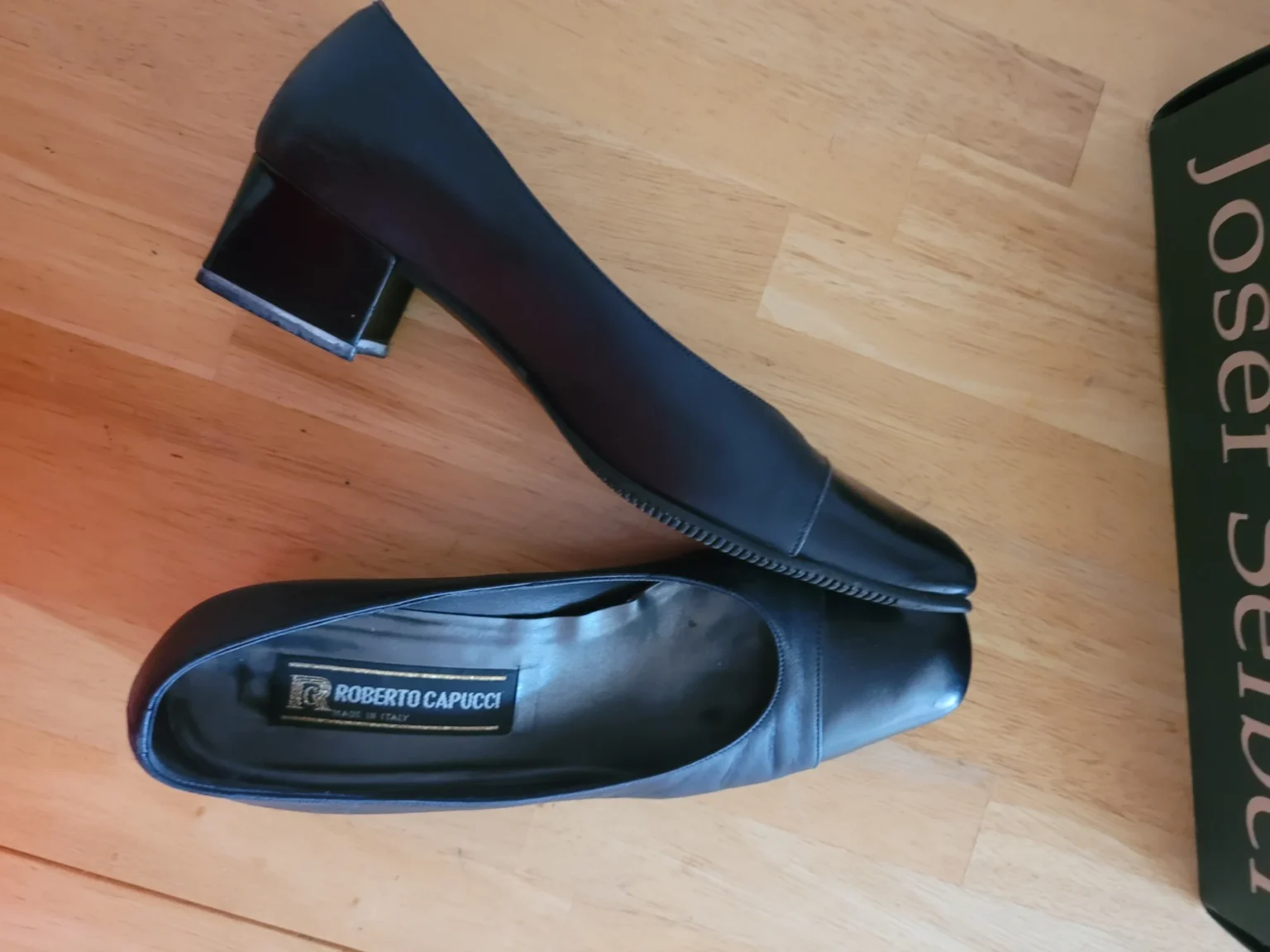 Image for Roberto Cappuci en cuir