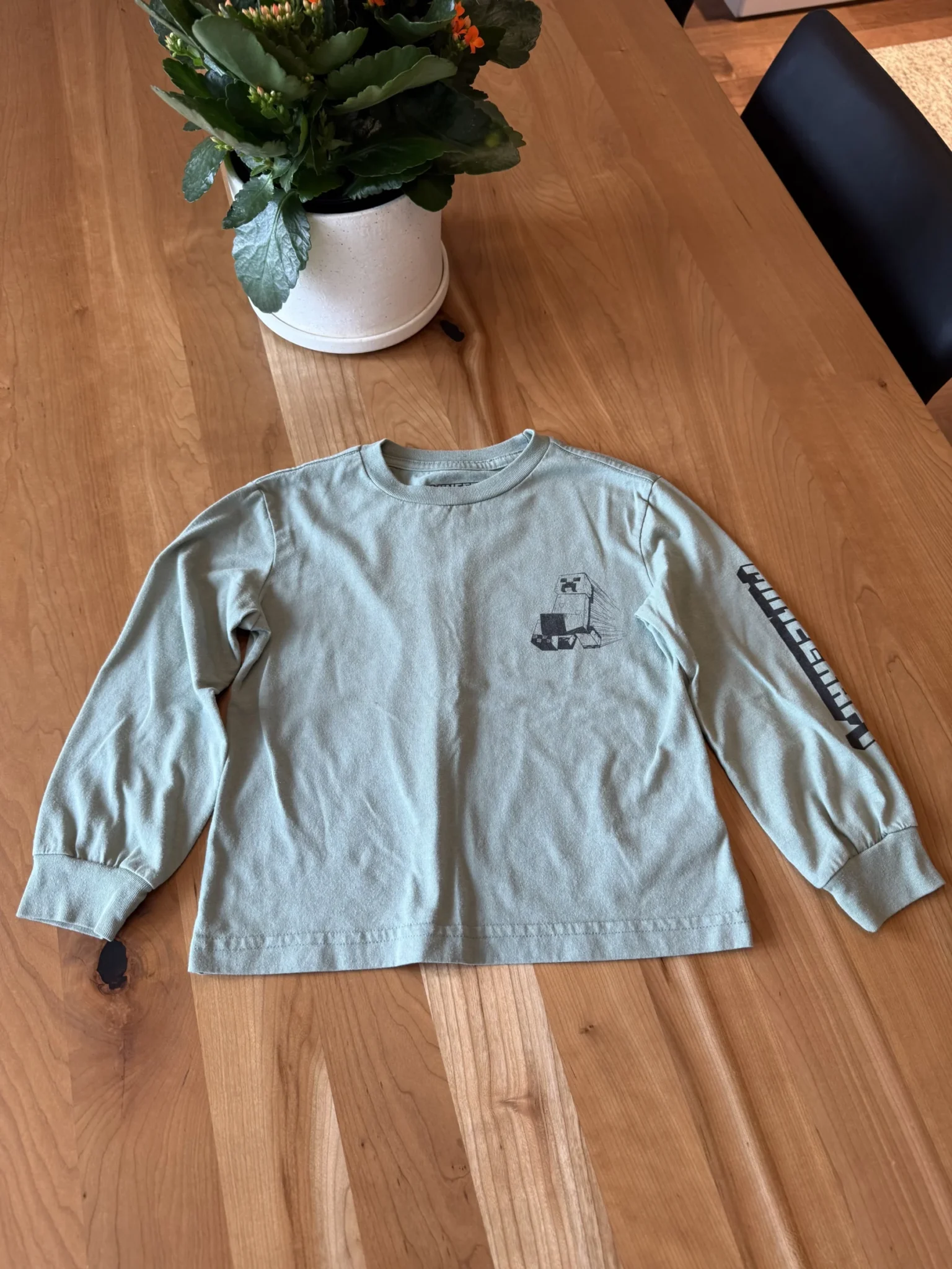 Featured image for Minecraft green long-sleeved top