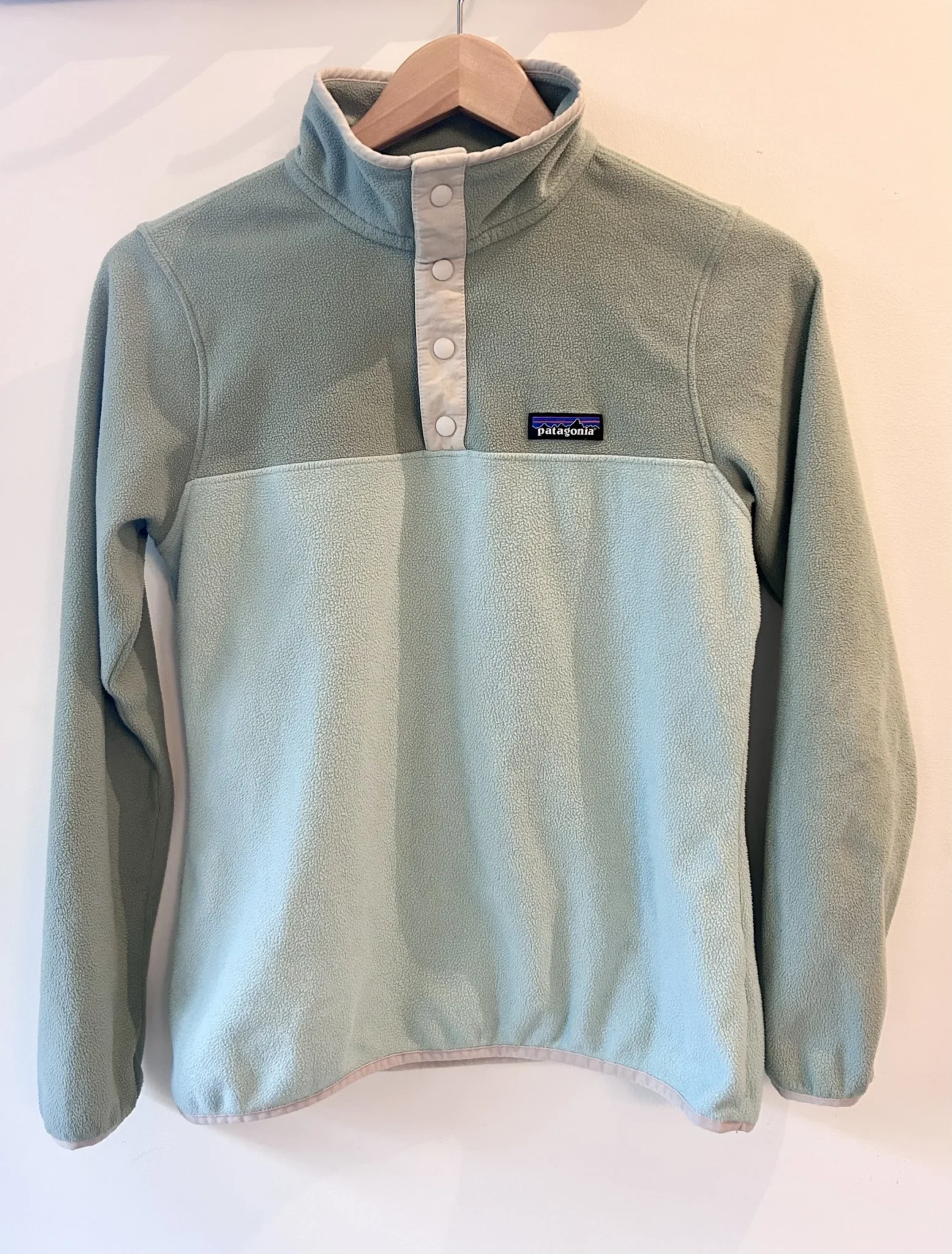 Image for Pull en micro-polaire Patagonia XS
