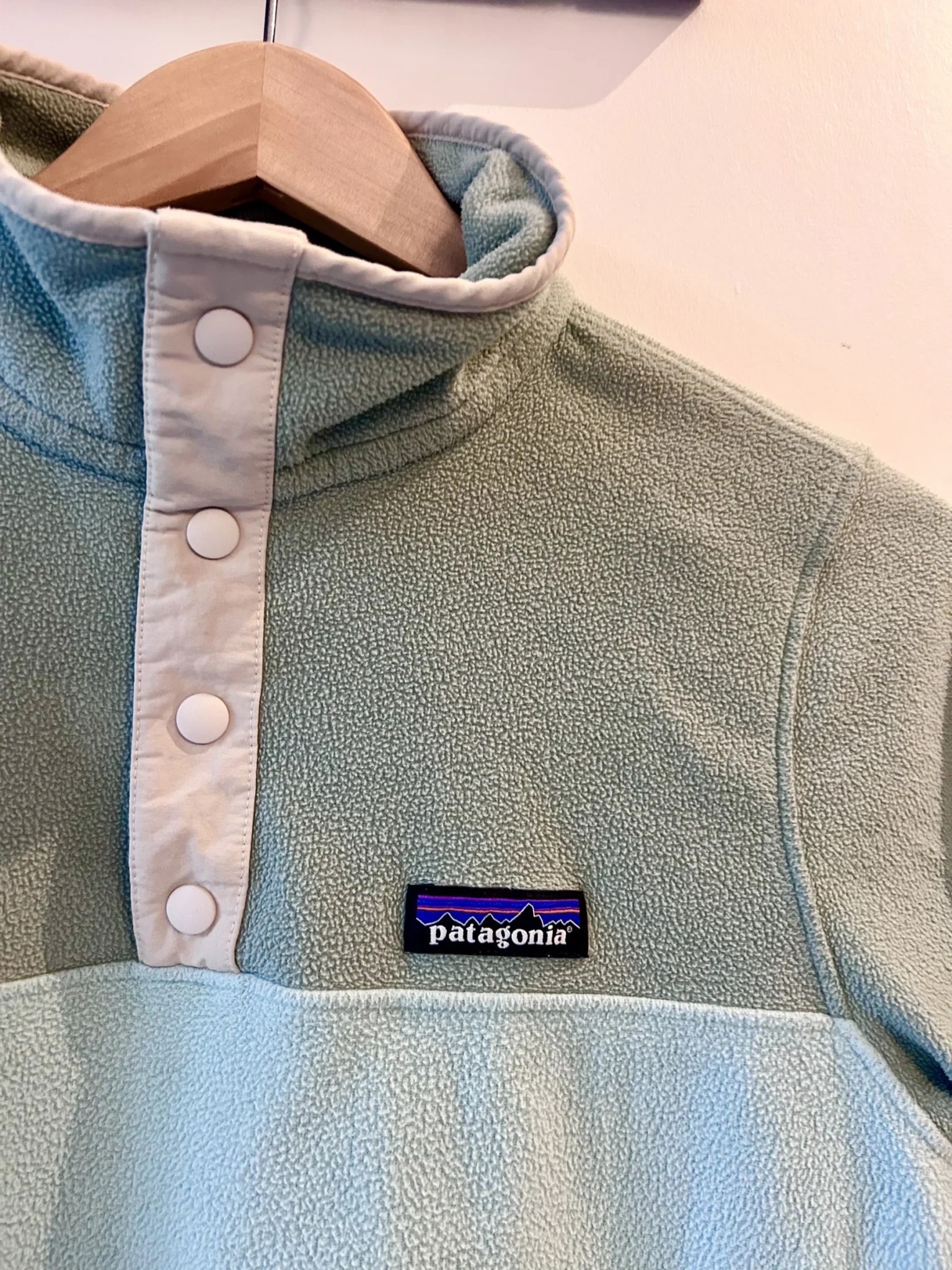 Image for Pull en micro-polaire Patagonia XS