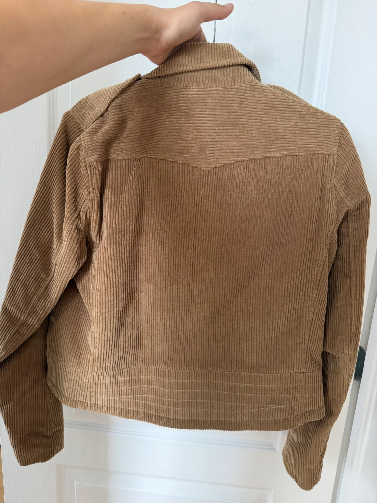 Image for Veste côtelé Rag and Bone marron taille M