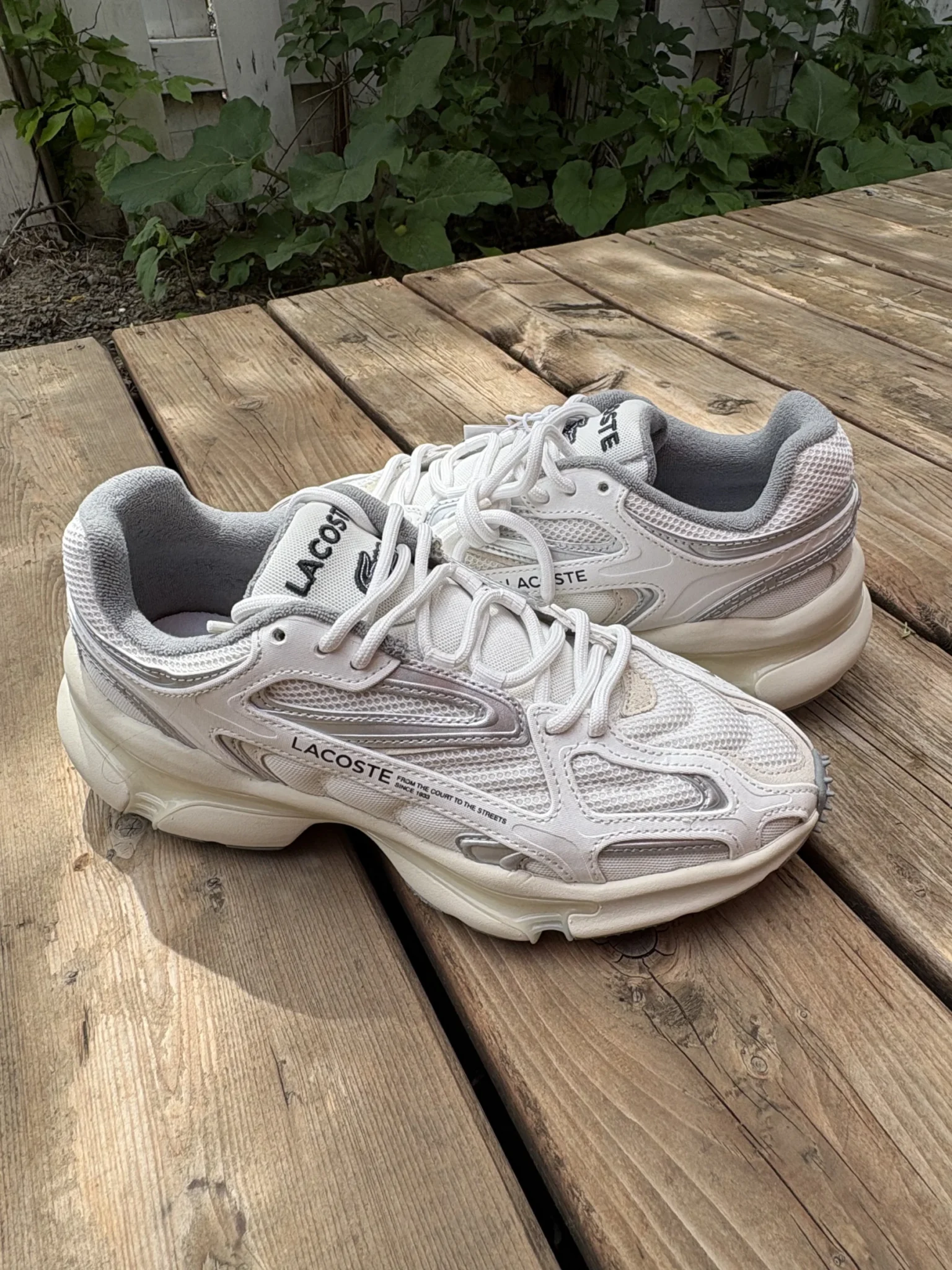 Image for Lacoste shoes - 8.5 US
