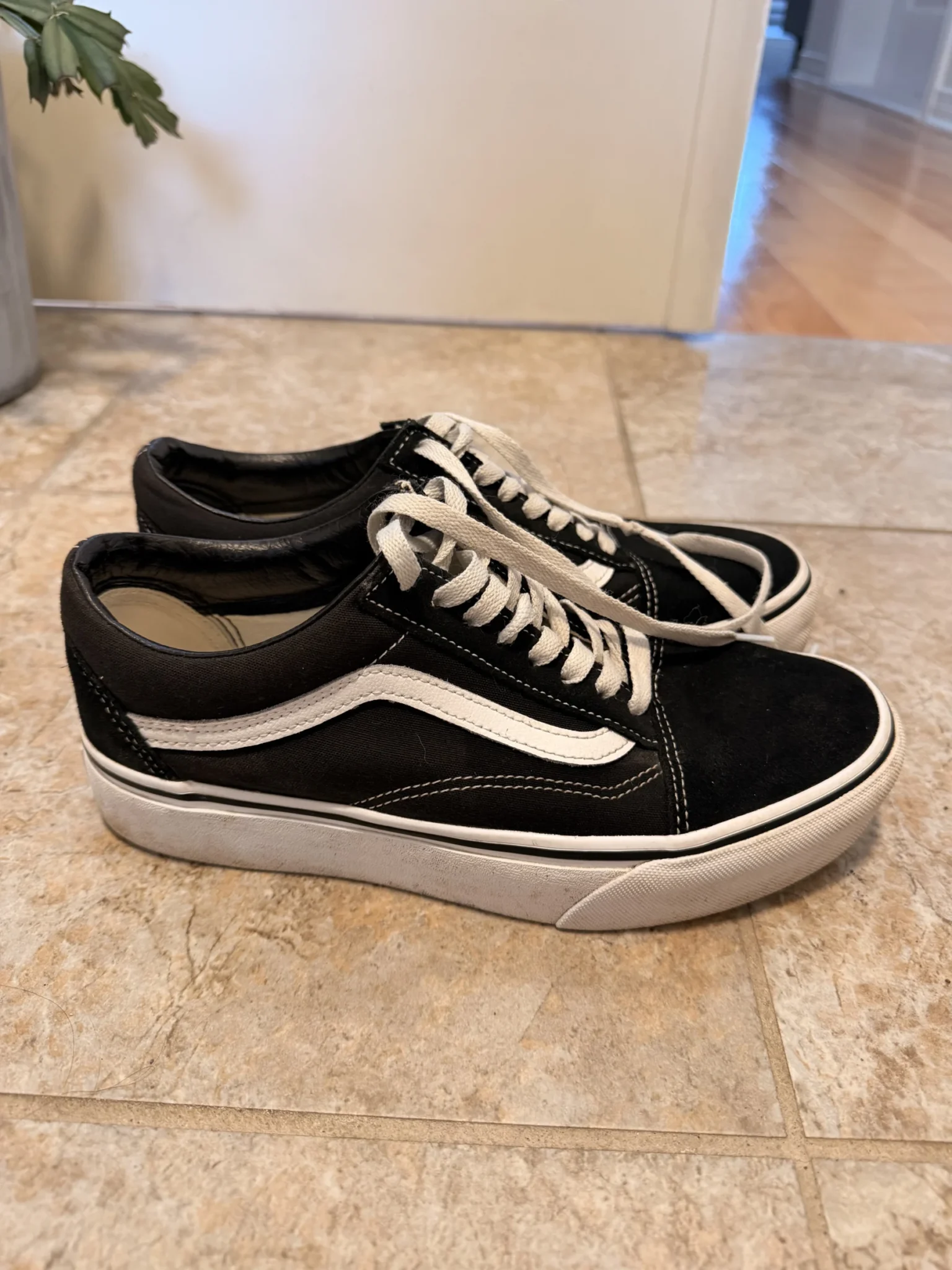 Image for Vans 8.5 US FEMMES
