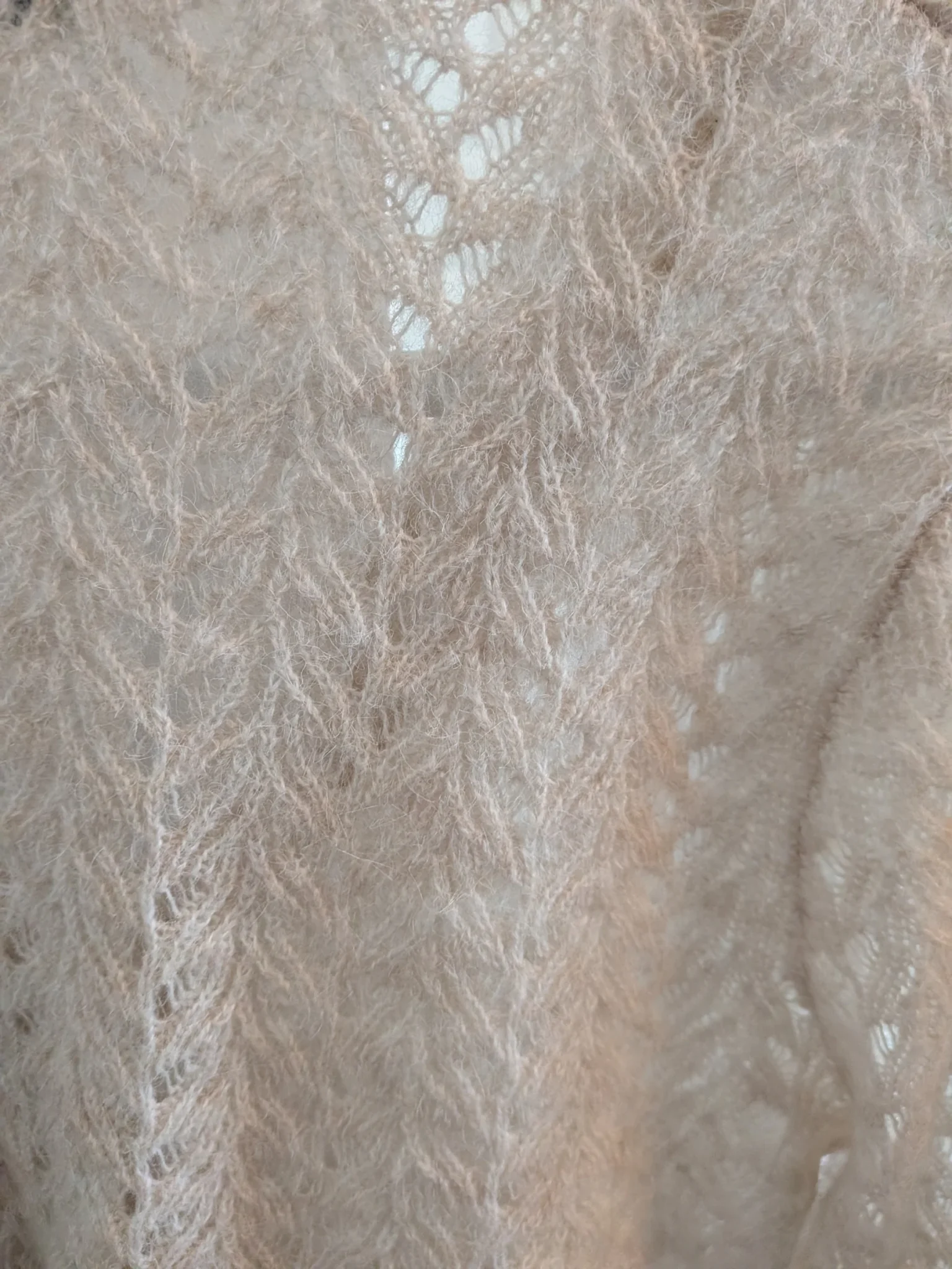 Image for Veste automne