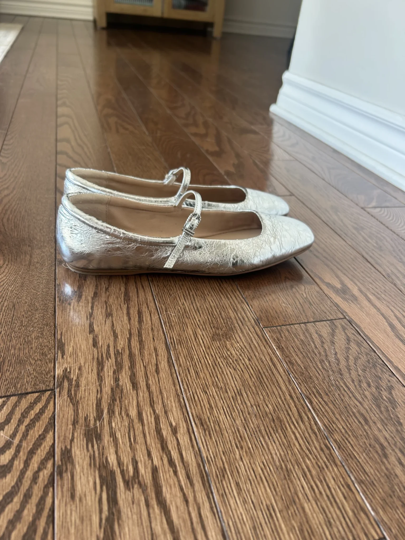 Featured image for Silver Dolce Vita Shoes