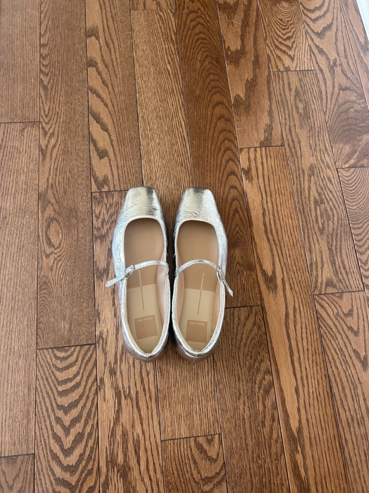 Image for Silver Dolce Vita Shoes