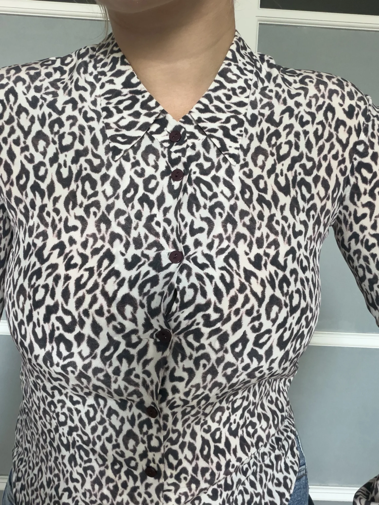 Image for Chemise Theory 100% soie motif léopard écru et marron