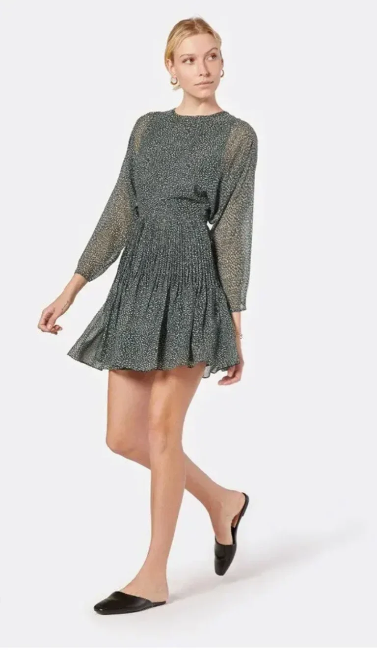 Featured image for 🌷Garonne silk dress – Joie