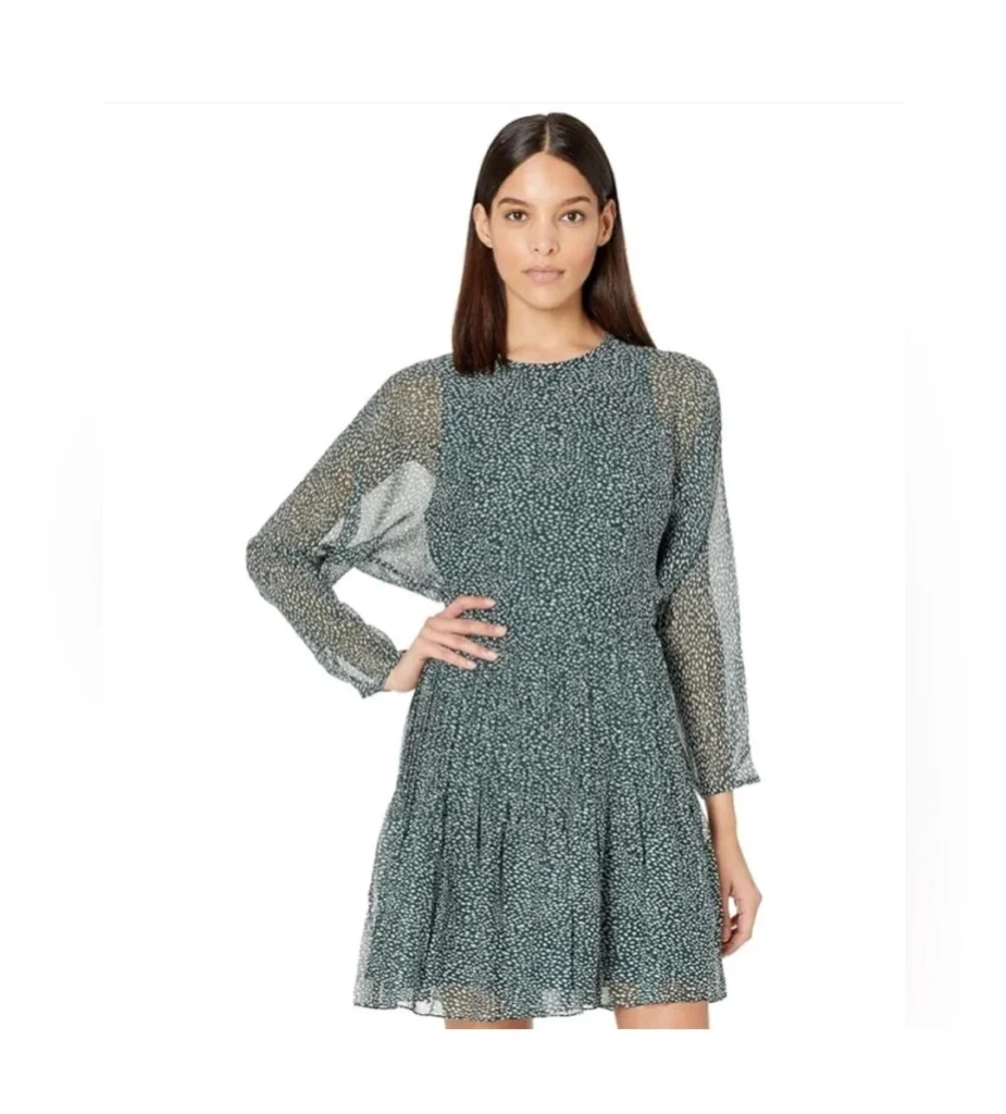 Image for 🌷Garonne silk dress – Joie