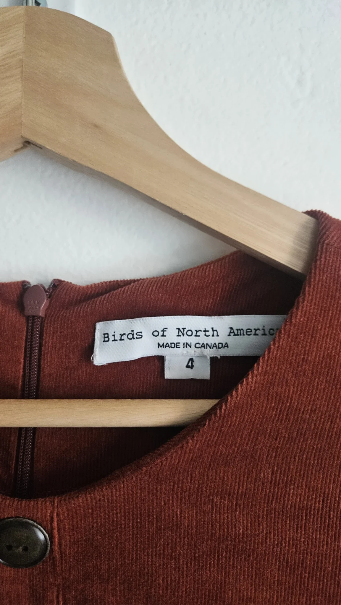 Image for 🌷Robe Jacobin - Birds of North America