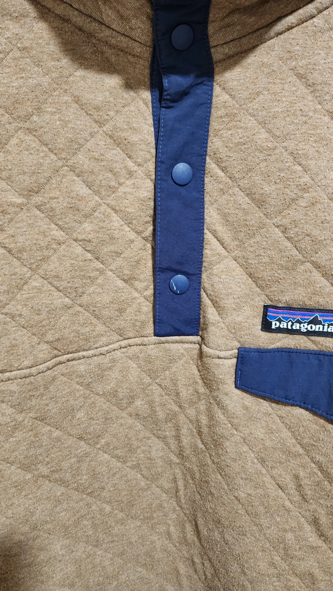 Image for Patagonia Organic Cotton Quilt Snap-T Pullover