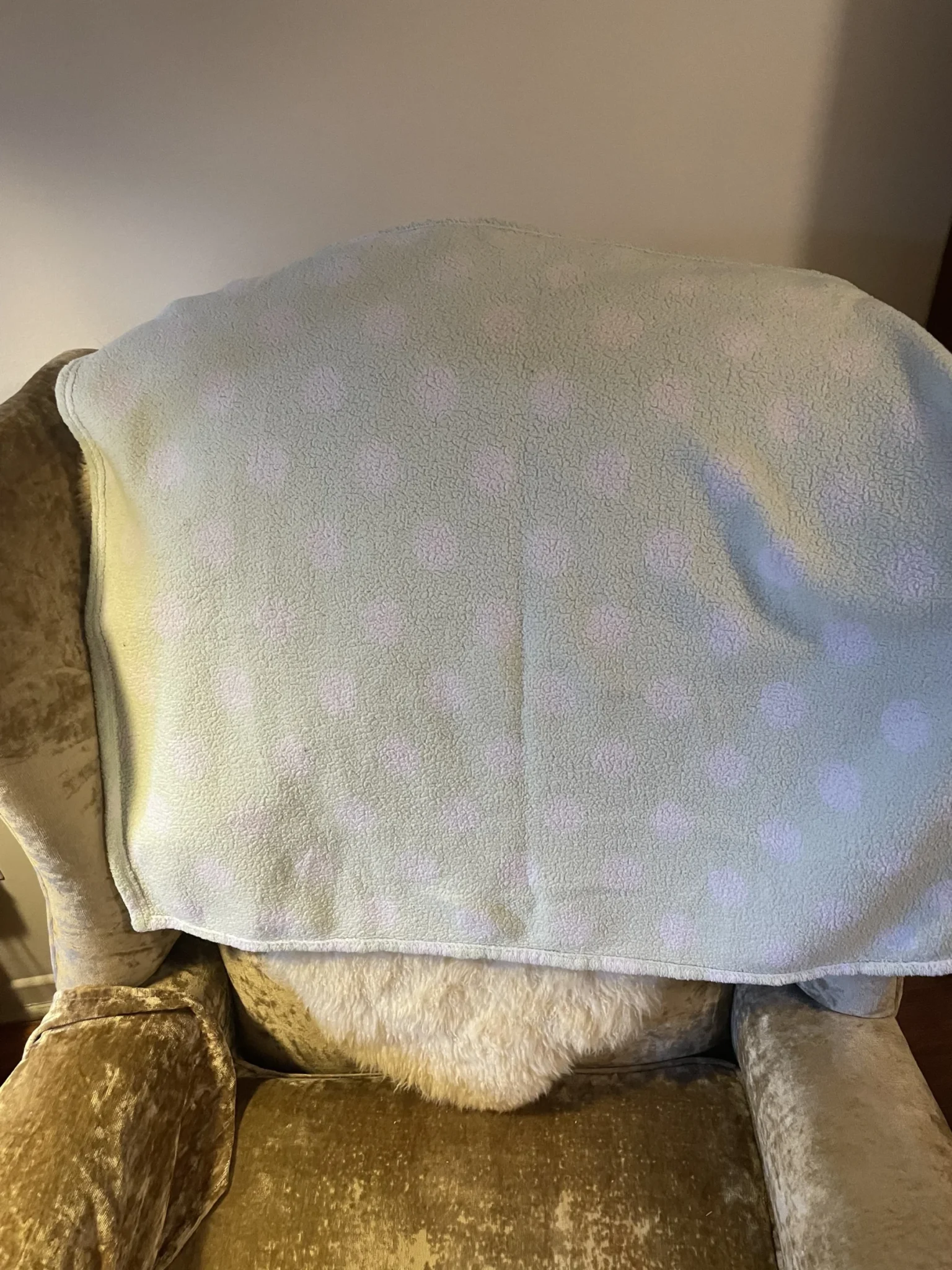 Image for Small, thin fleece baby comforter