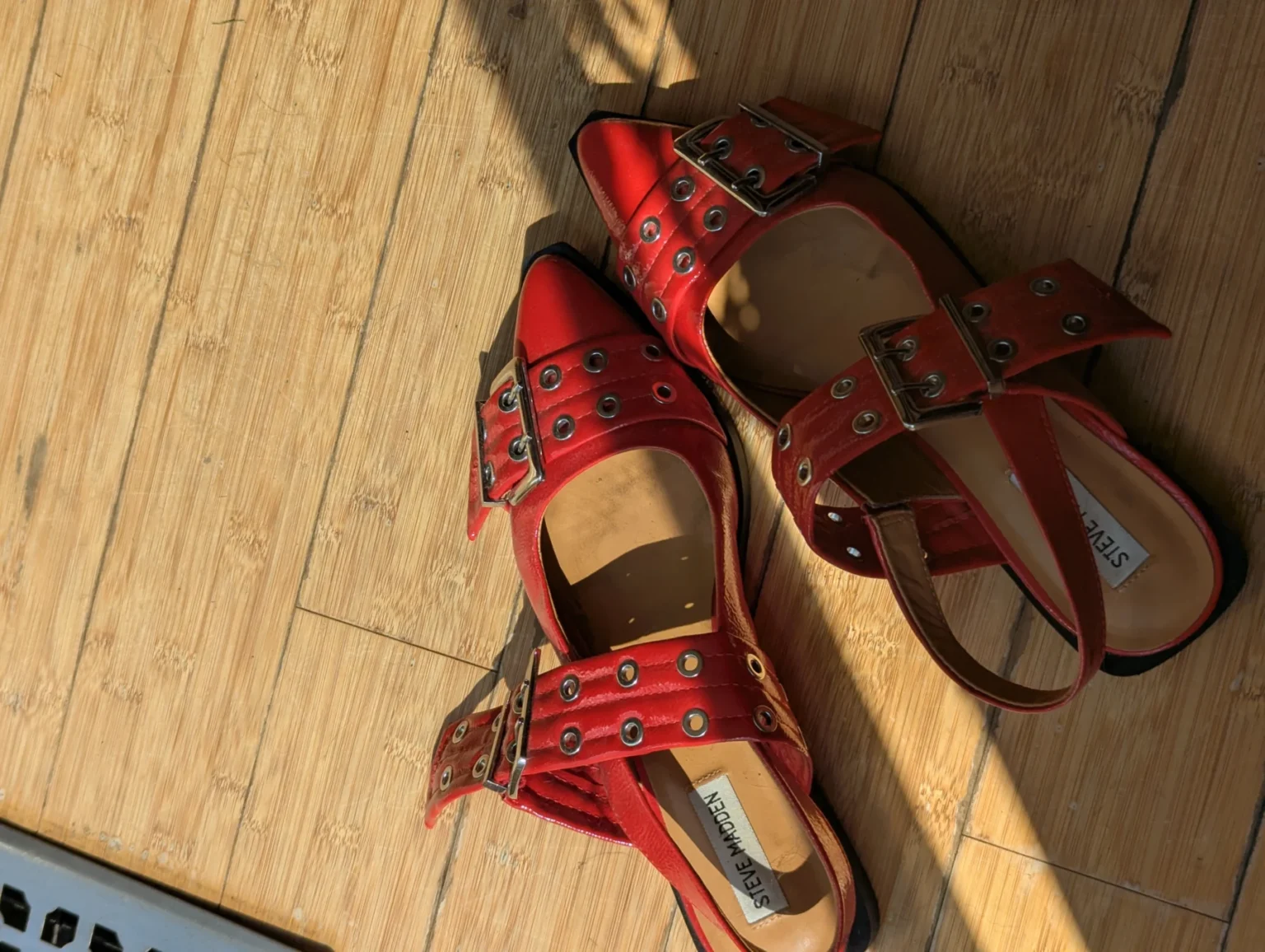 Image for Steve Madden shoes