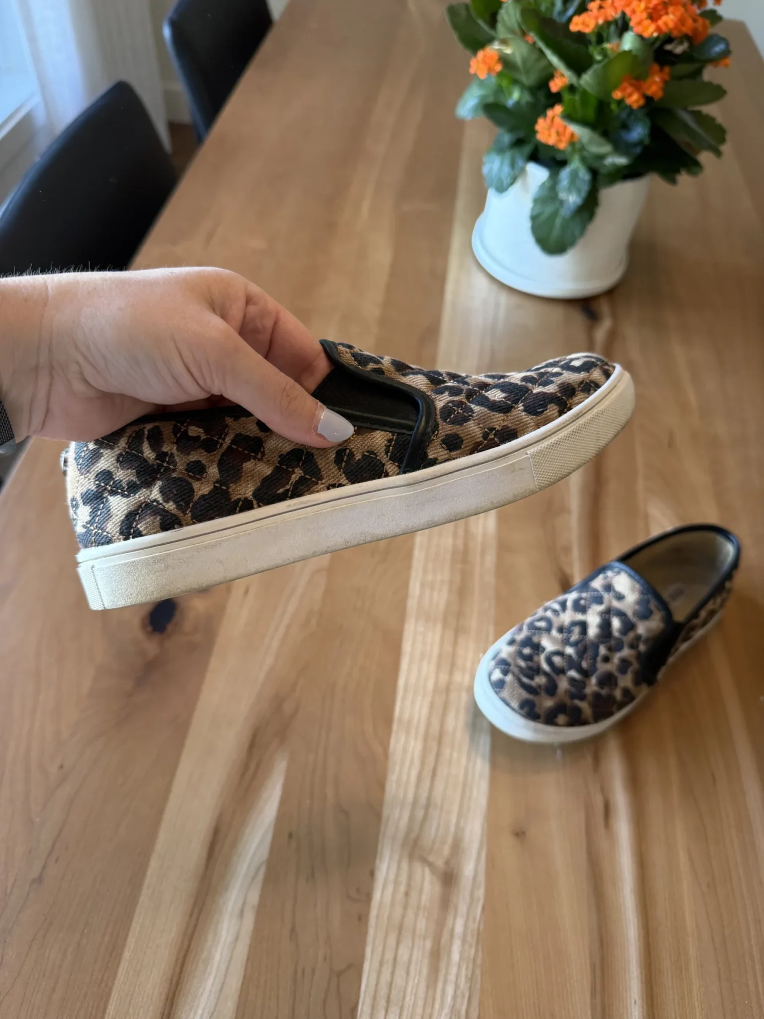 Image for Leopard-print shoes