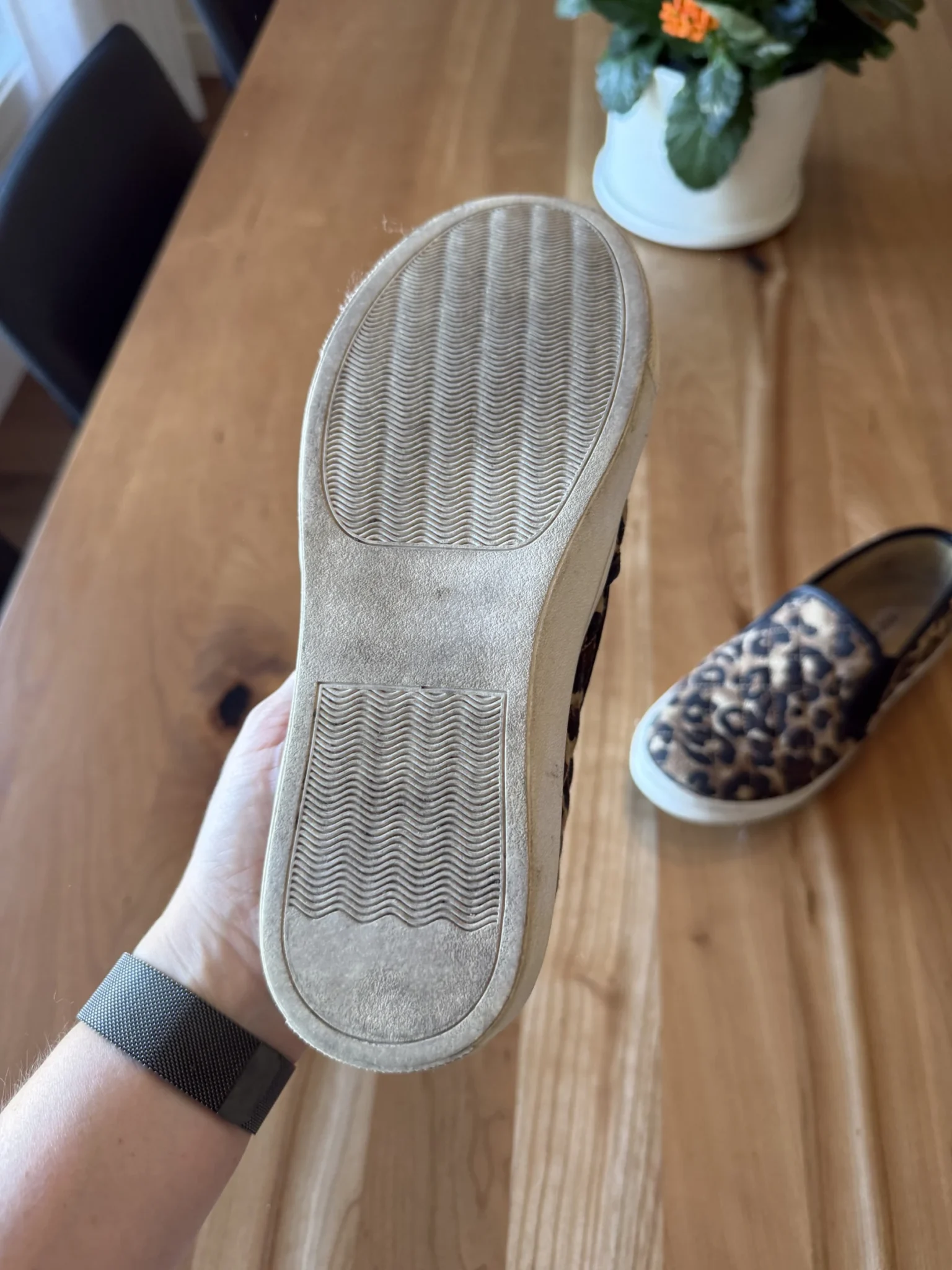 Image for Leopard-print shoes