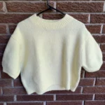 Featured thumbnail for Tricot court Zara