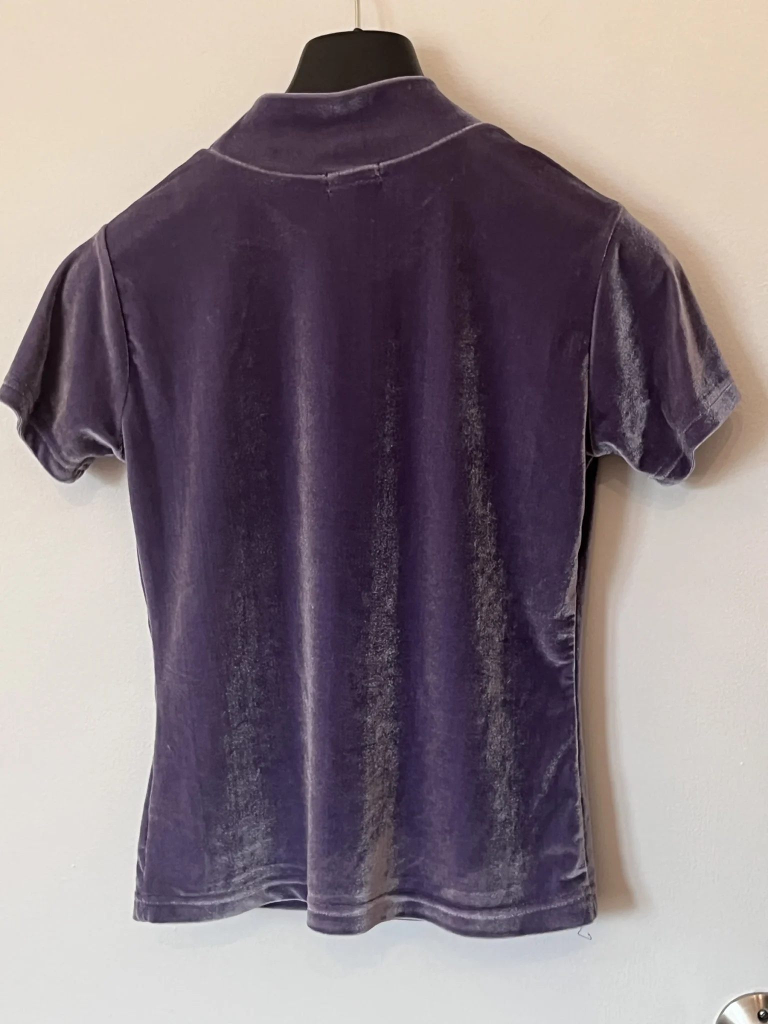 Image for Velour tops from the 1990s to the 2000s