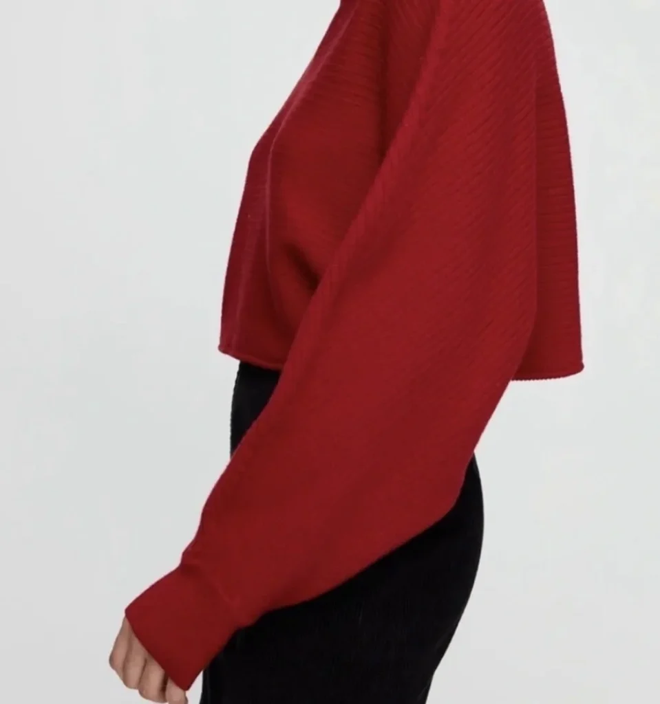Image for ♥️WILFRED FREE red cropped jumper