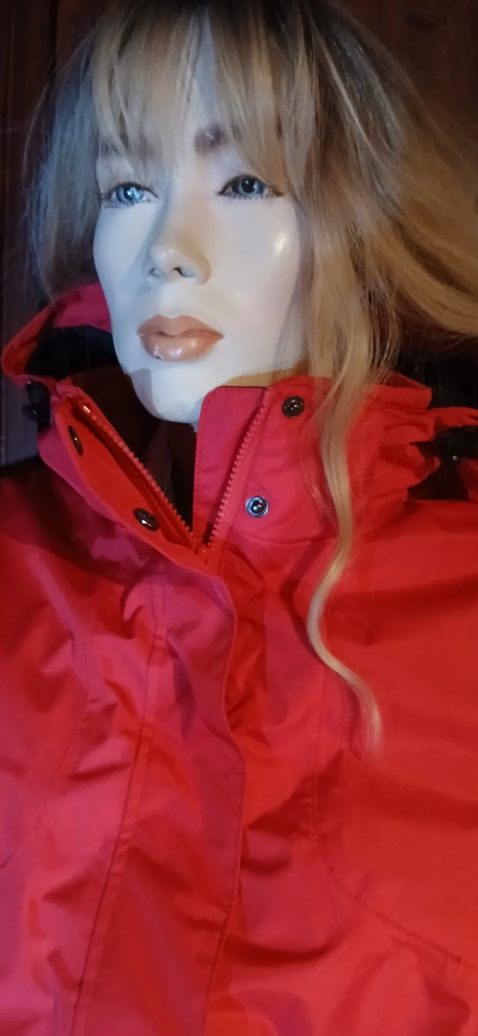 Image for Misty Mountain Red Coat