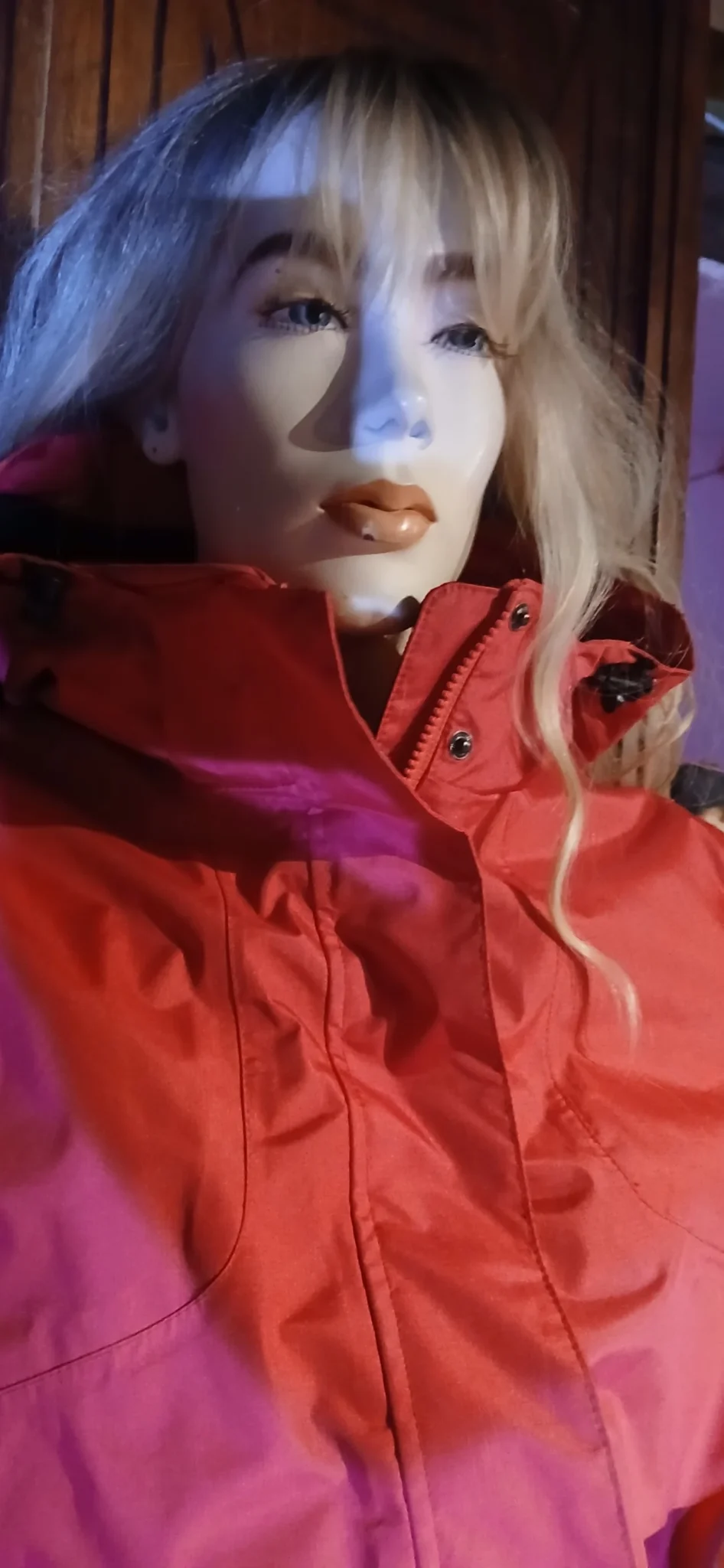 Image for Misty Mountain Red Coat