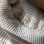 Thumbnail for Womance roll-neck jumper