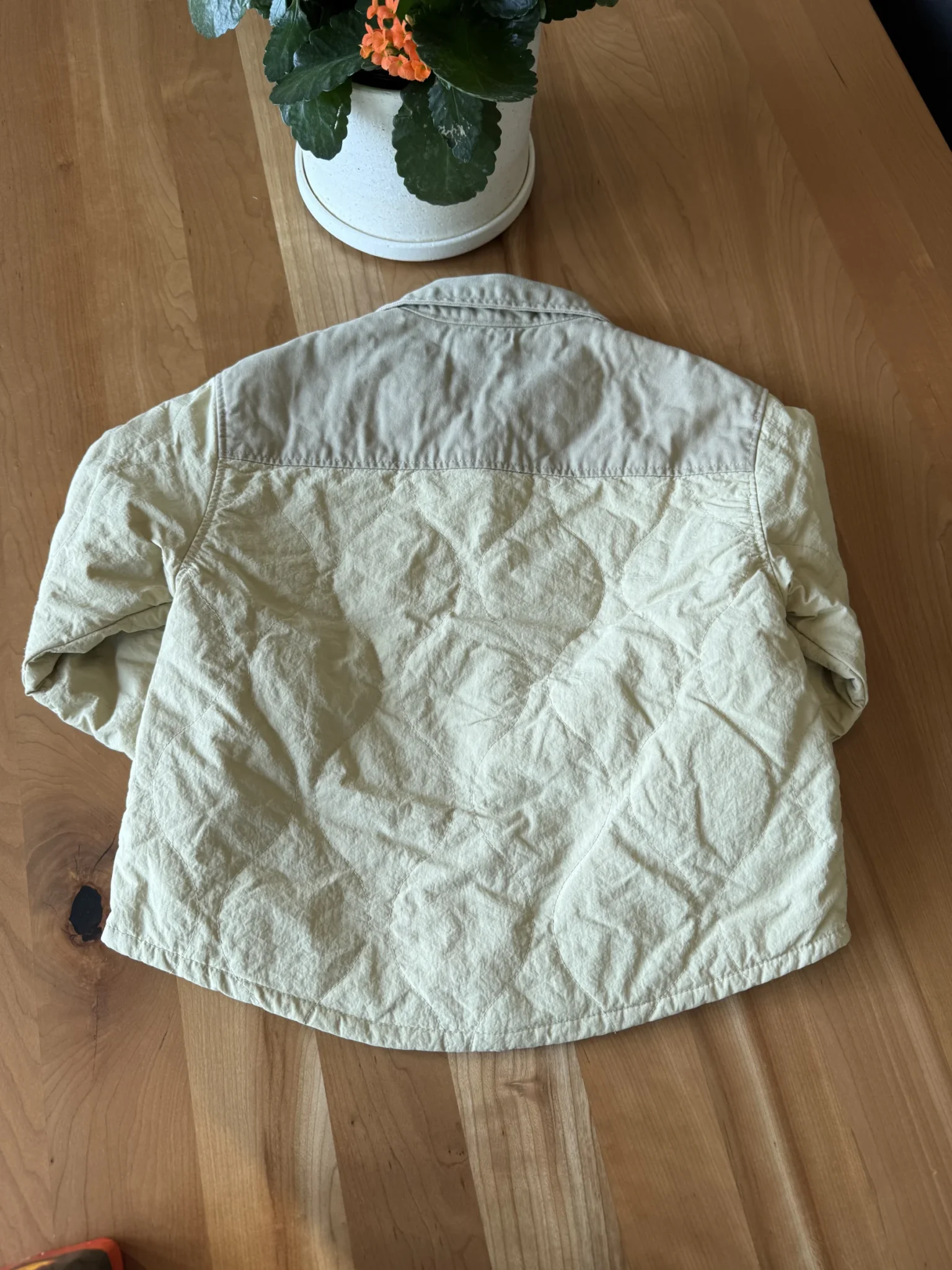 Image for Beige mid-season coat