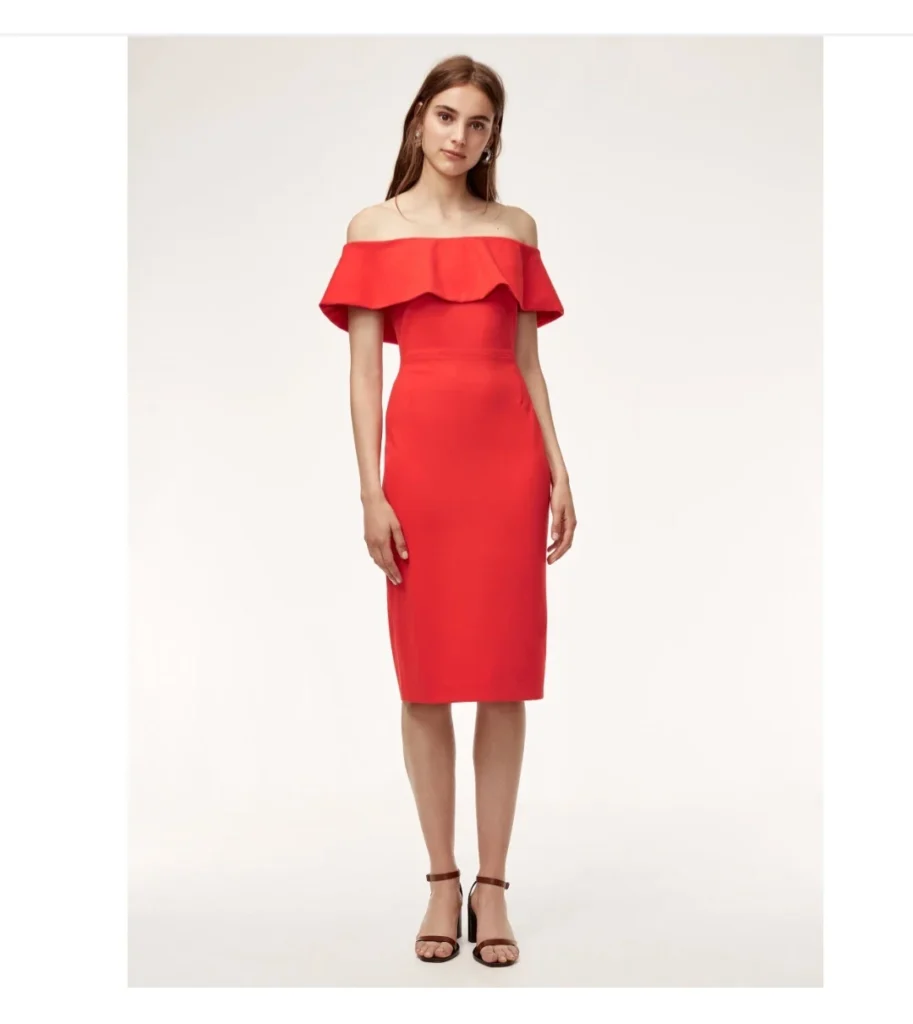 Featured image for 🌷Ruslan dress - Babaton